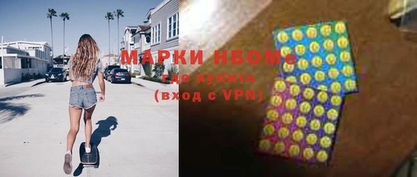хмурый Рославль