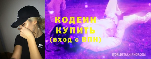 хмурый Рославль