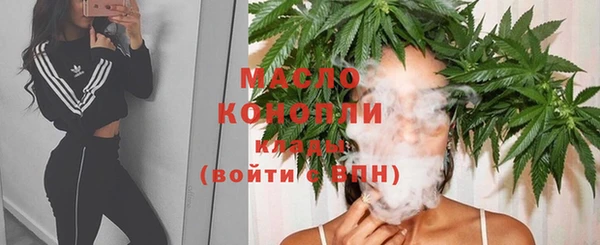 хмурый Рославль